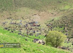 تصاویر| برگزاری همایش کوه‌گشت خانوادگی در تسیخه فریدونشهر