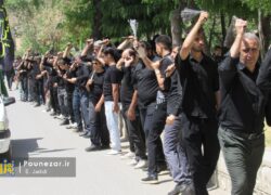 تصاویر| دستجات عزاداری روز عاشورای حسینی فریدونشهر